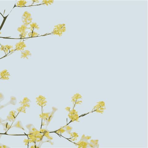 Träff med Gozinto Studentkonsulter 1/4