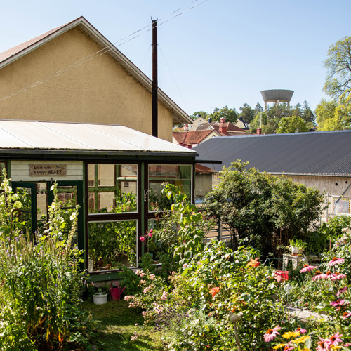 Trädgård i Gamleby.