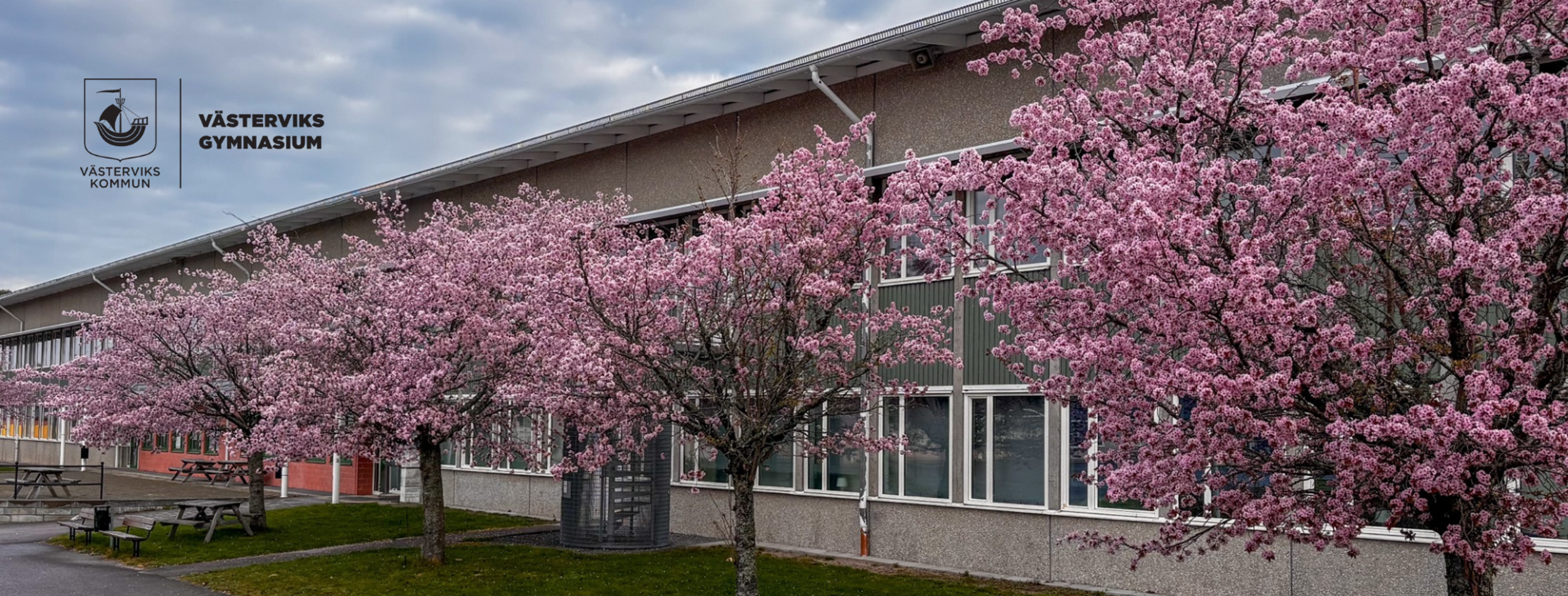 Olika bilder från gymnasiet med gul bakgrund.