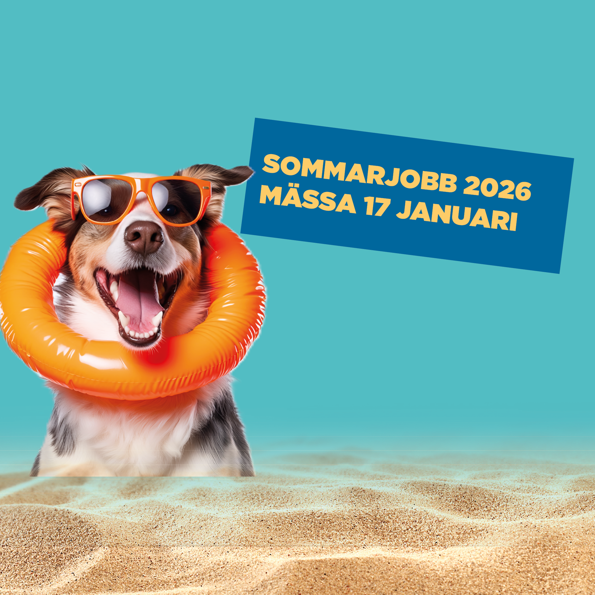 Hund med badring och texten Sommarjobb 2026 mässa 17 januari. 