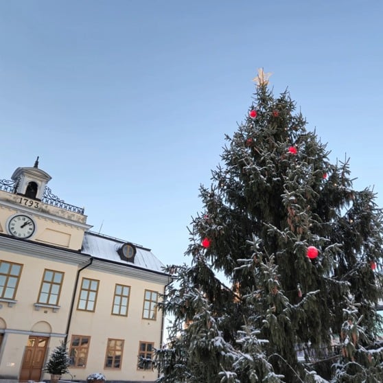 Julgranen på Rådhustorget.