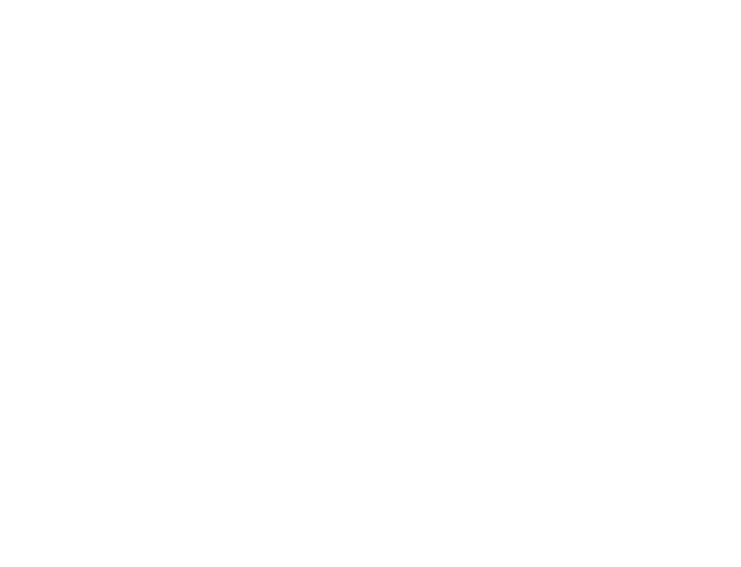logo vit