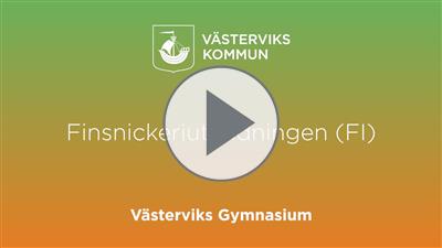 Finsnickeri film.