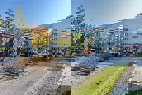 Nätet