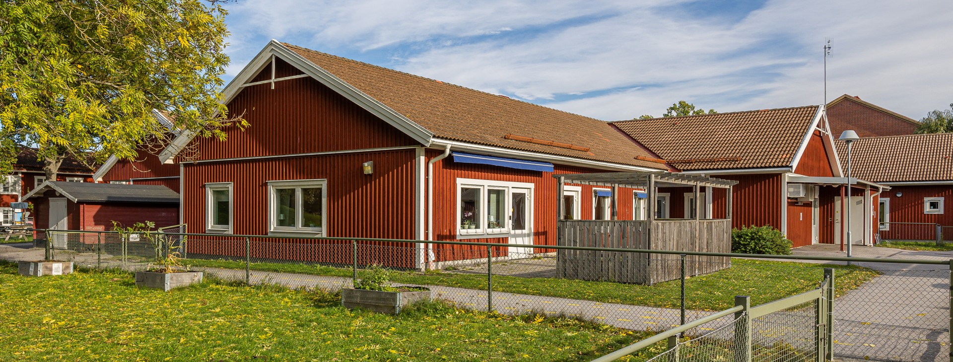 Björken.