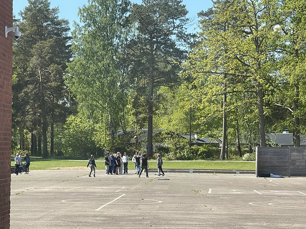 utelek och idrott ute på Fågelbäret