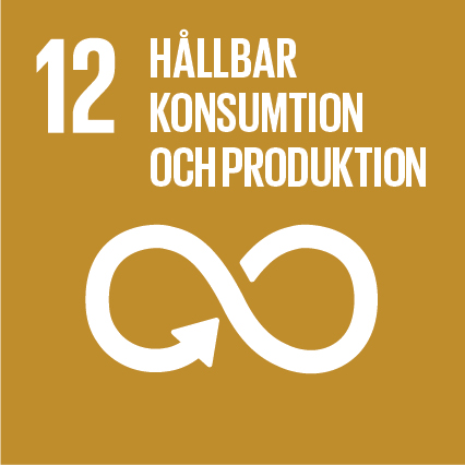 Agenda 2030-mål 12 Hållbar konsumtion och produktion