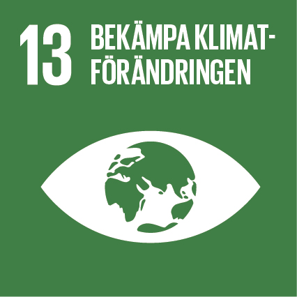 Agenda 2030-mål 13 Bekämpa klimatförändringarna