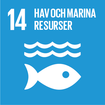Agenda 2030-mål 14 Hav och marina resurser